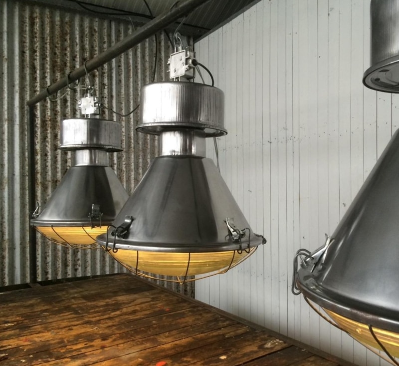 INDUSTRIËLE LAMP BELL GEPOLIJST online bestellen bij